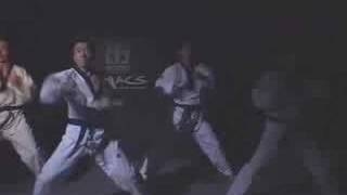 Taekwondo as real martial art