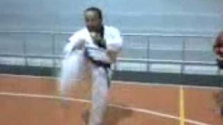 punze amariilo (taekwondo) taekwondo punze              1         