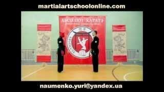 ?? ABSOLUTE KARATE- "Counter Attack"- lesson 1.??-??(???????)