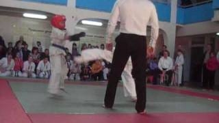 Kyokushin karate.                          
